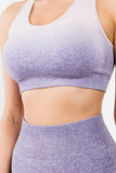 Ombre Seamless Biker Short Set